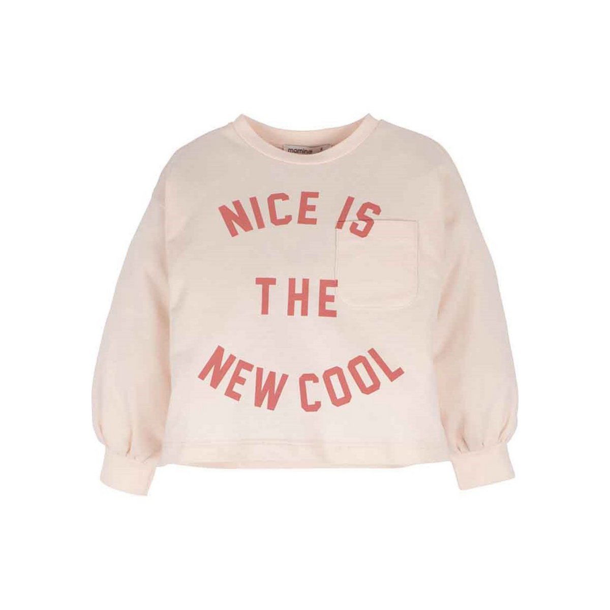 Sweatshirt - Nice is the new cool
