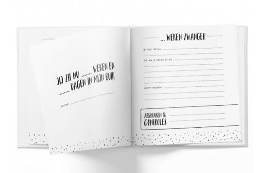 Zwangerschapsboek - wit